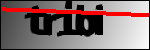 متن برای شناسایی